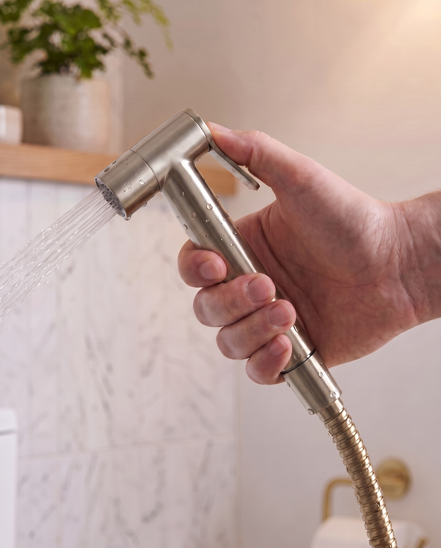 Douchette hygiènique poussoir gris brossé